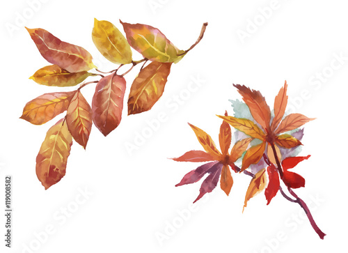 Watercolor background with autumn leaves.