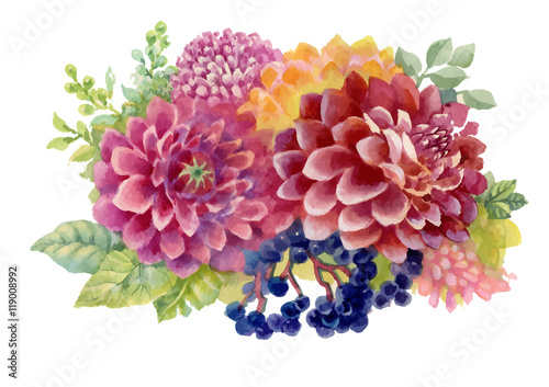 Watercolor autumn garden blooming flowers illustration isolated on white background.