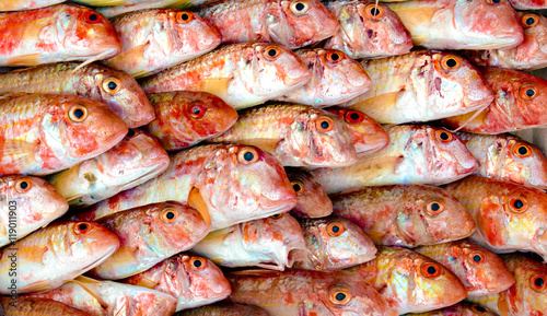 red mullet fish well ordered, pattern background