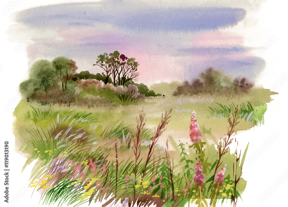 Obraz Akwarela lato wiejski krajobraz