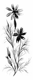 Beautiful hand-drawn monochrome herbs illustration
