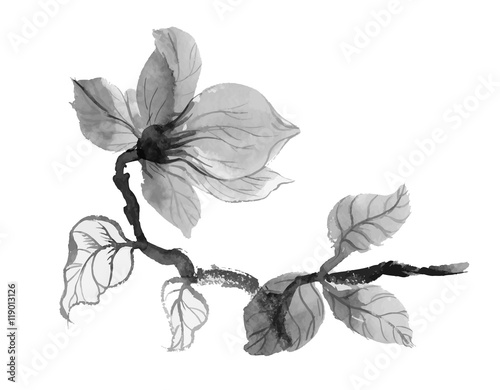 Beautiful hand-drawn monochrome flower illustration