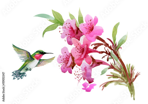 Wallpaper Mural Watercolor wild exotic birds on flowers and twigs pattern on white background Torontodigital.ca