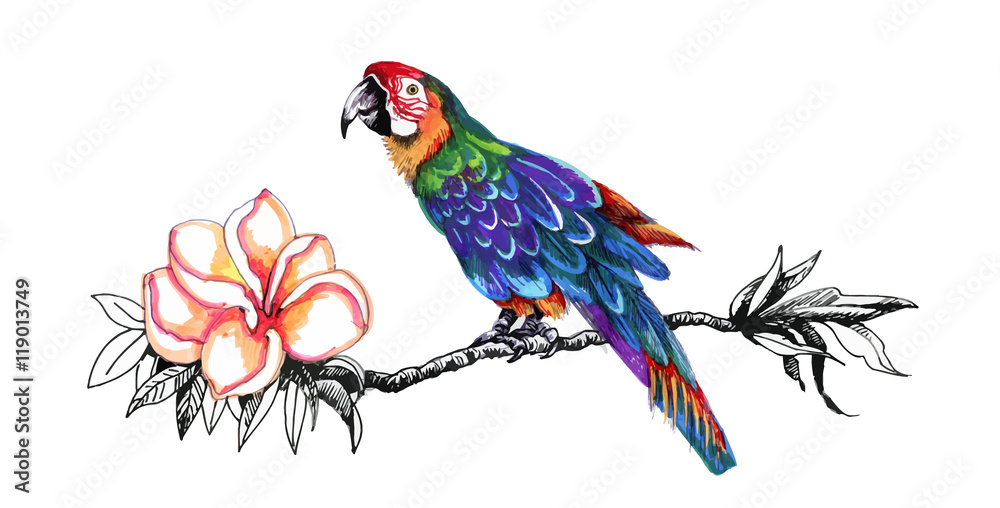 Beautiful colorful parrot on twig.