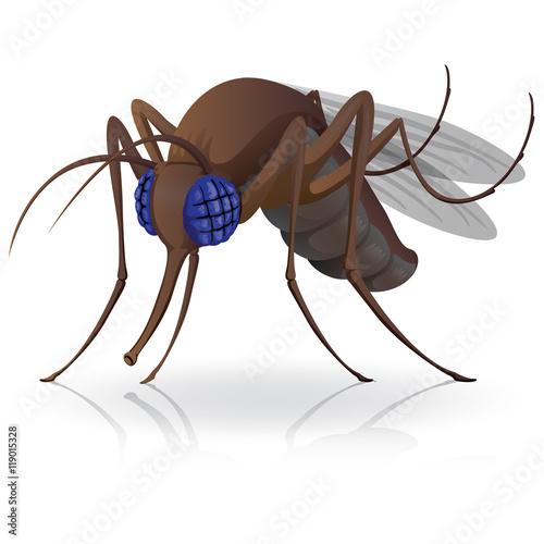 Mosquito side Stilt mosquitoes fly mascot. Ideal for informational and institutional related sanitation and care
