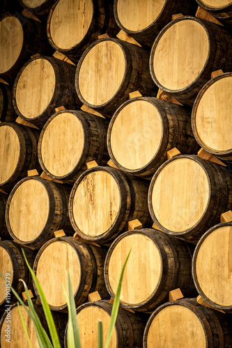 Wine barrels