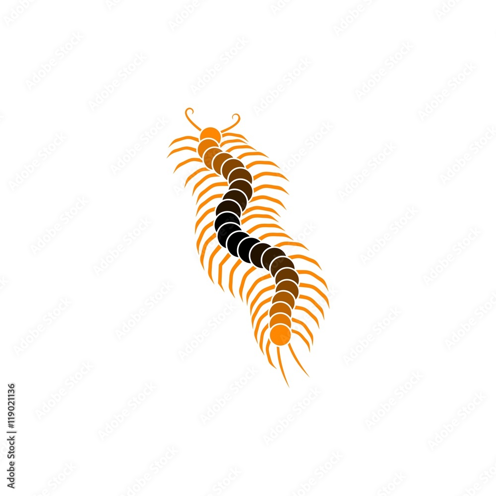 Centipede Centipede