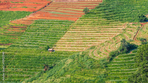 Obraz na płótnie mountains view in the morning at chaingmai northern thailand w salonie