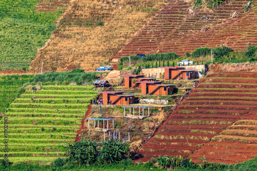 Obraz na płótnie mountains view in the morning at chaingmai northern thailand w salonie