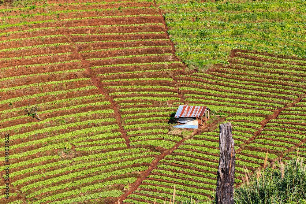 mountains view in the morning at chaingmai northern thailand