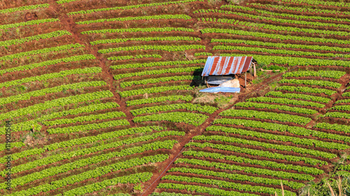 Obraz na płótnie mountains view in the morning at chaingmai northern thailand w salonie
