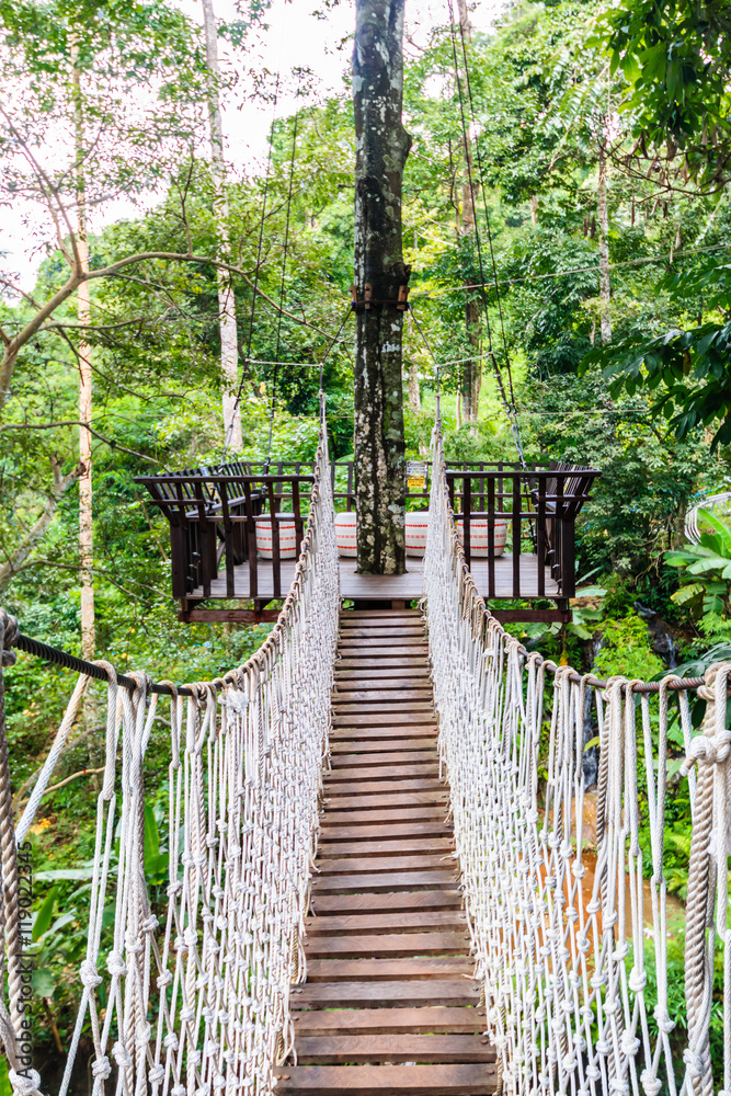 the bridge on high tree look around forest top view
