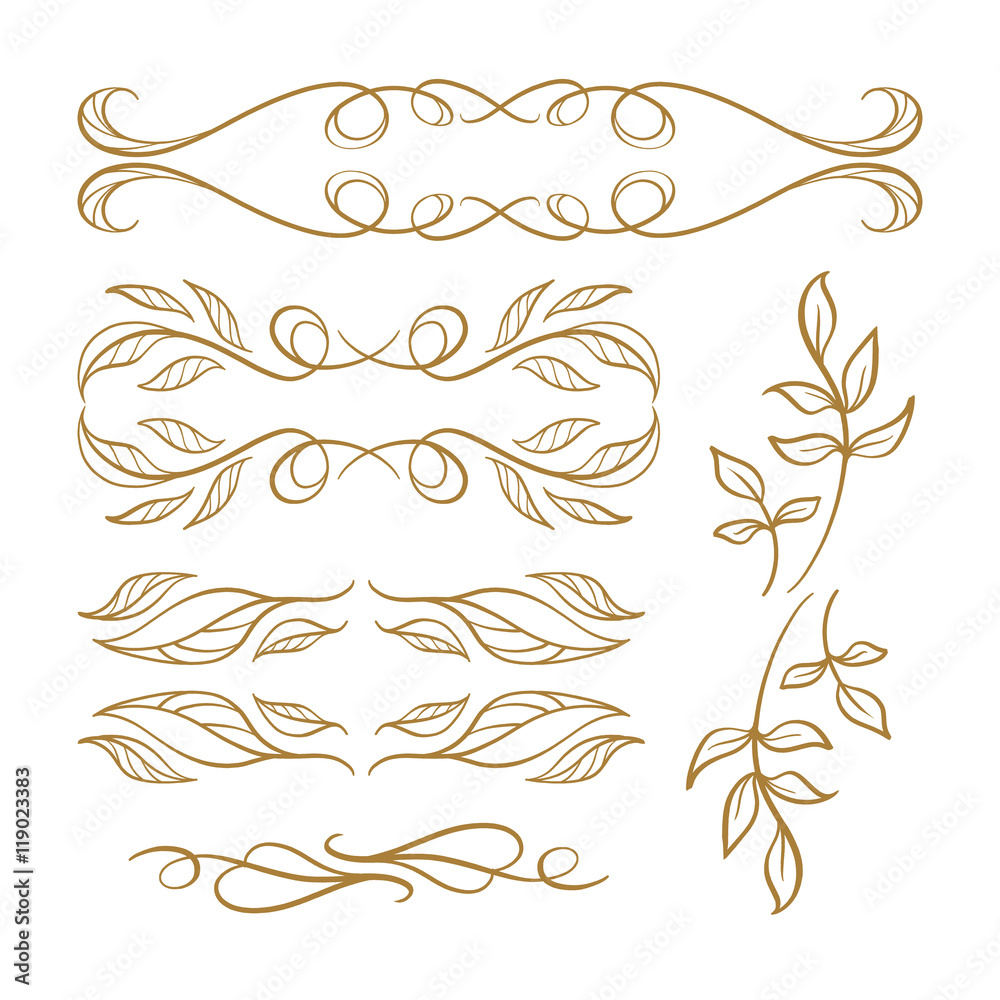 Vector calligraphy elements set. Vector calligraphy elements set.