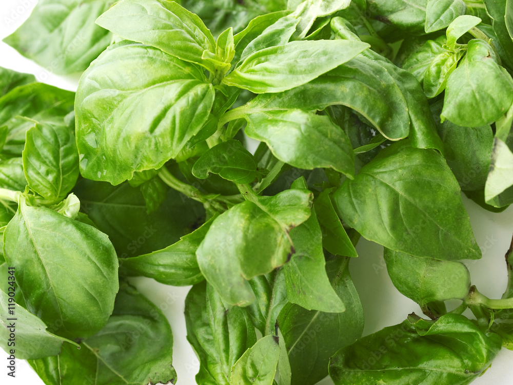 Fresh basil Fresh basil