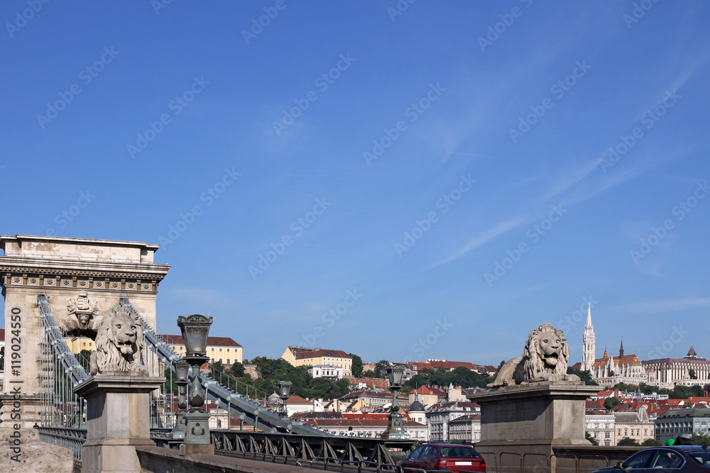 Fototapeta premium Chain bridge with lion statue Budapest Hungary