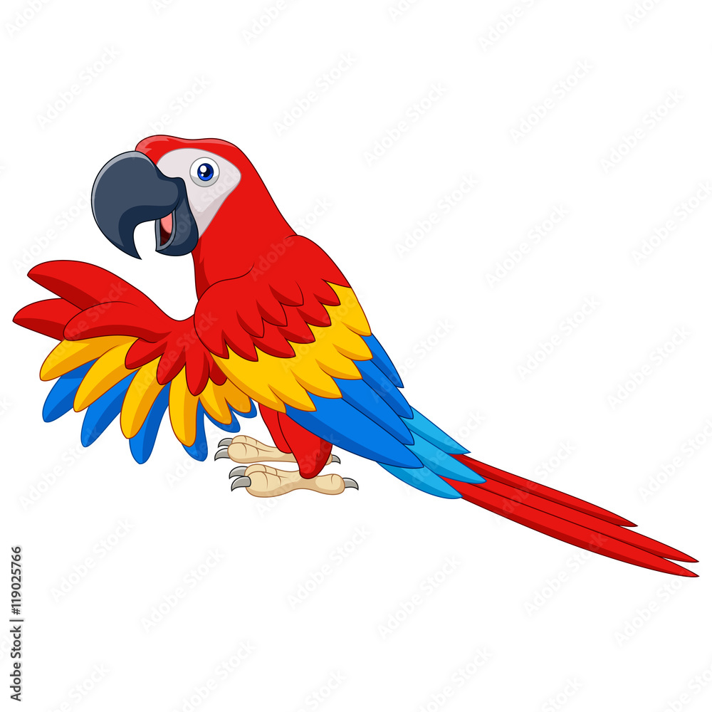 Obraz premium Cartoon funny macaw isolated on white background