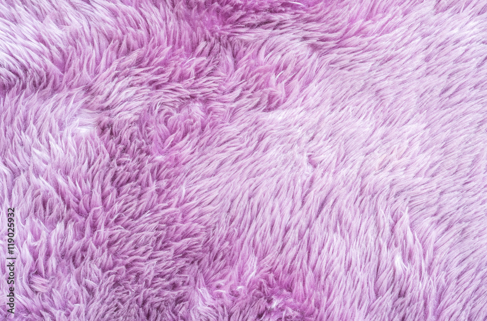Closeup surface abstract fabric pattern at the purple fabric carpet at the floor of house texture background Closeup surface abstract fabric pattern at the purple fabric carpet at the floor of house texture background