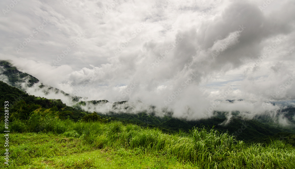 Fog on the Mountains