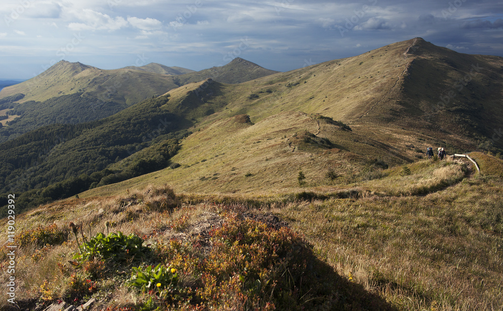 Obraz premium Górski szlak w Bieszczadach, nieopodal Wetlina i najwyższy szczyt po polskiej stronie - Tarnica