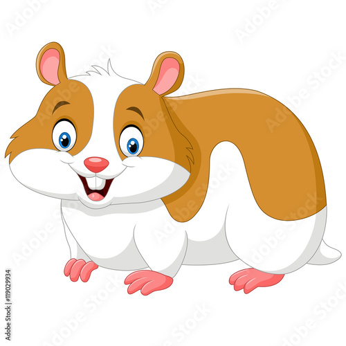 Cartoon funny hamster isolated on white background