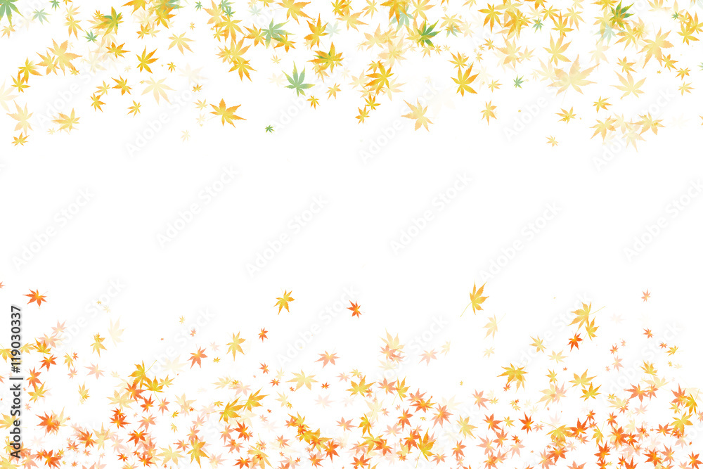 紅葉 カエデ 新緑 素材 紅葉 カエデ 新緑 素材