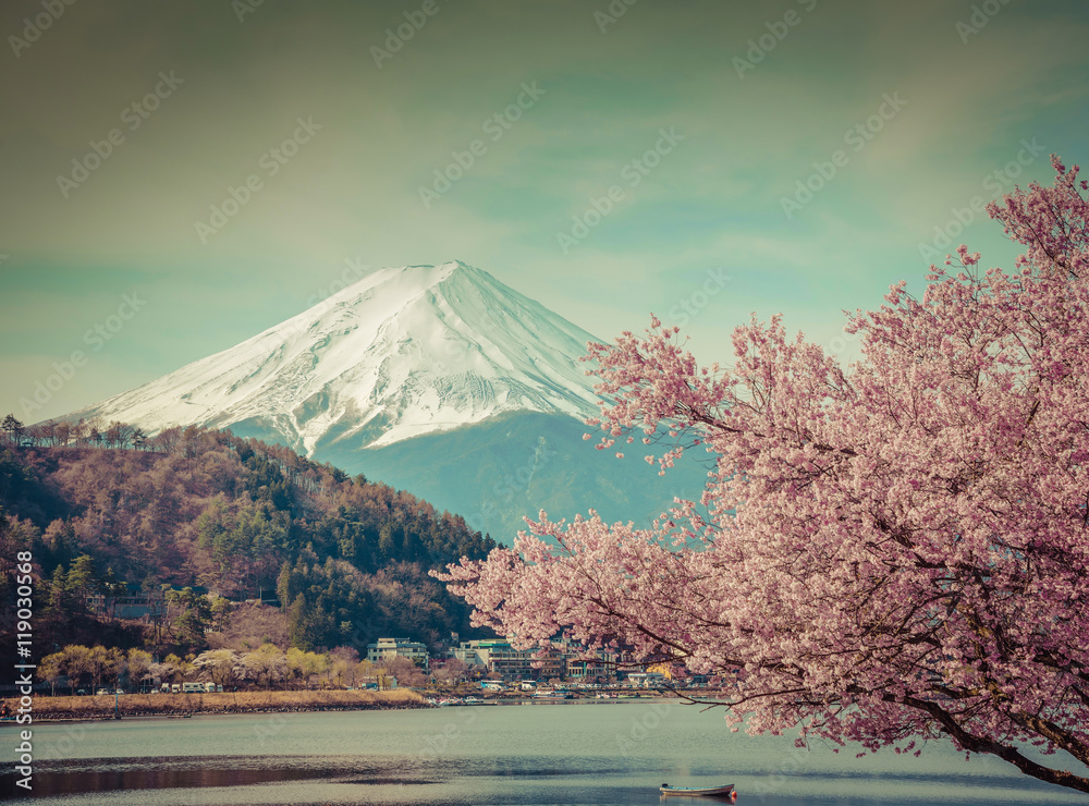 Mountain Fuji in spring ,Cherry blossom Sakura,vintage