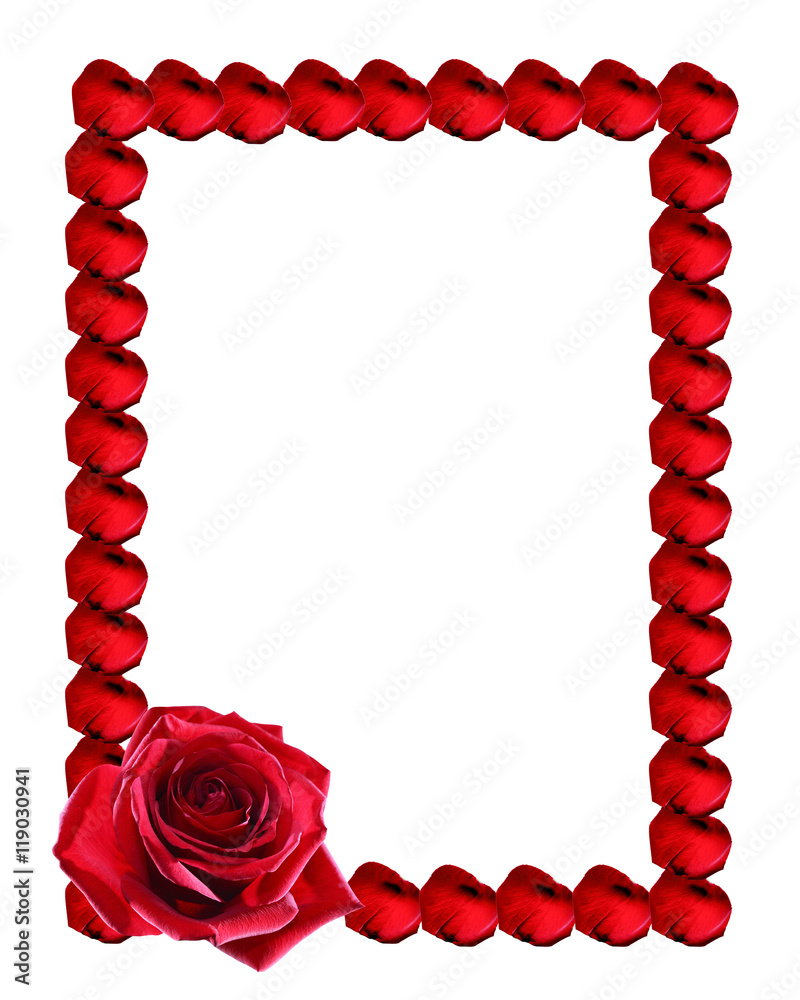 Obraz premium Rose Petals Frame