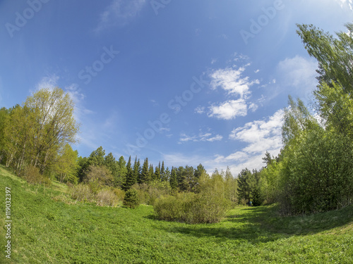 beautiful forest in a botanical garden. North of Russia