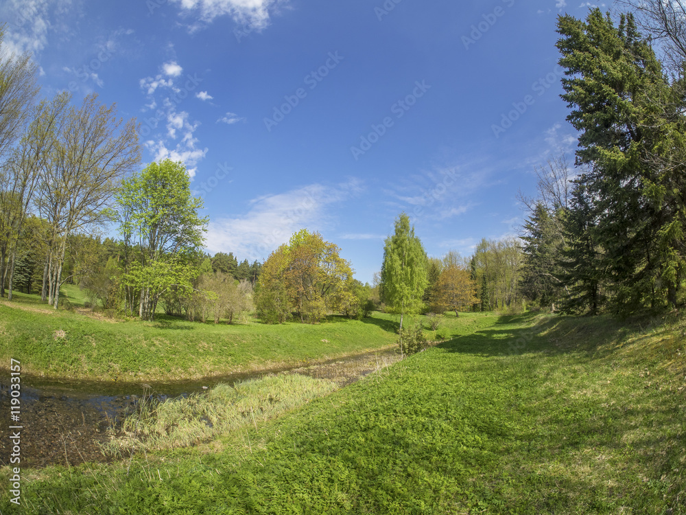 beautiful forest in a botanical garden. North of Russia beautiful forest in a botanical garden. North of Russia
