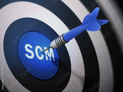 SCM target hitting by dart arrow