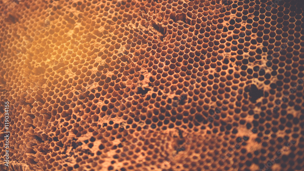 unfinished honey making in honeycombs. with vintage filter