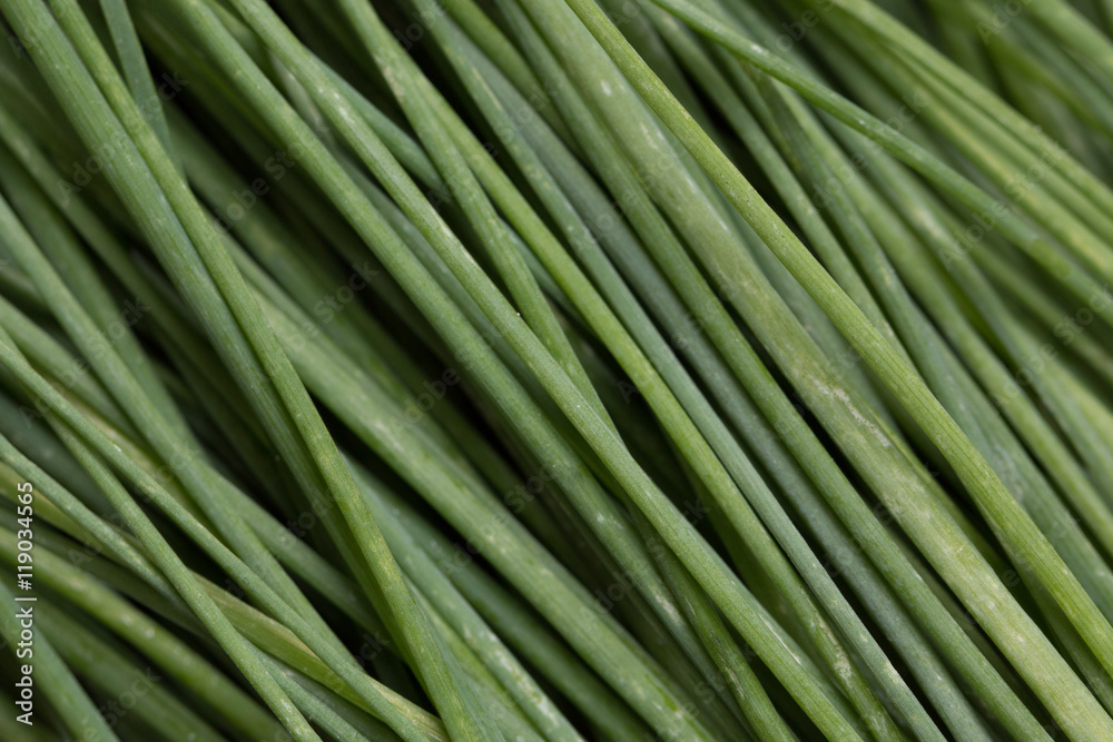 bunch of fresh chives on a wooden cutting board, selective focus bunch of fresh chives on a wooden cutting board, selective focus