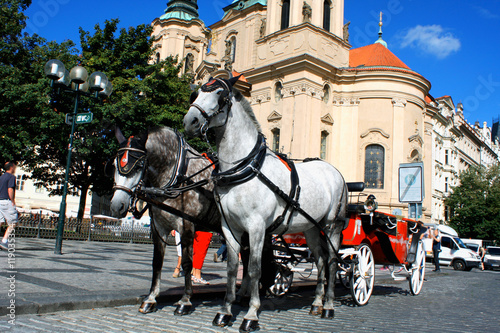 Prague - town square with horses for turistic ride and St. Nicholas church.