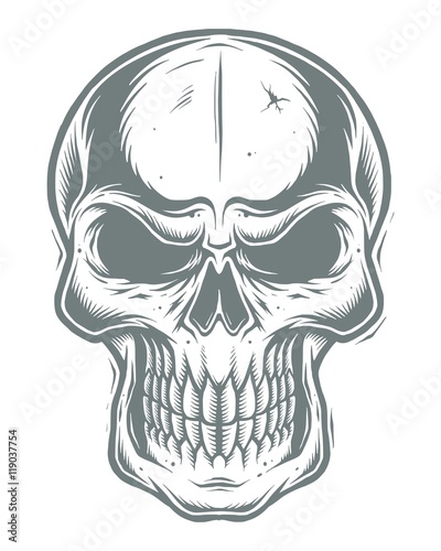 Isolated skull on white background. line work style
