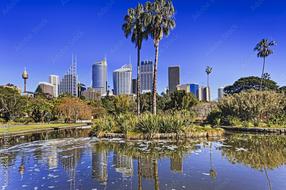 Fototapeta premium RGB Pond CBD Palm reflection