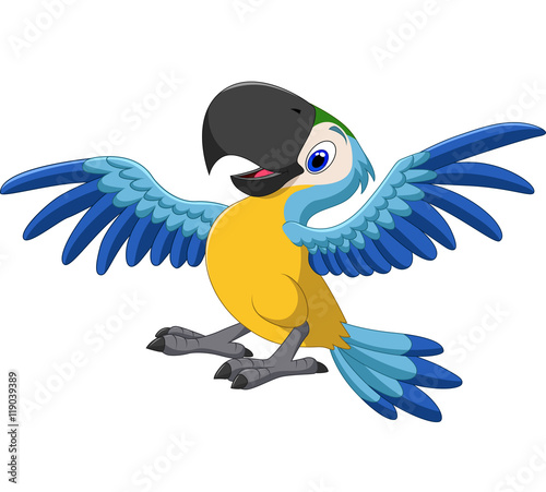 Happy parrot flying