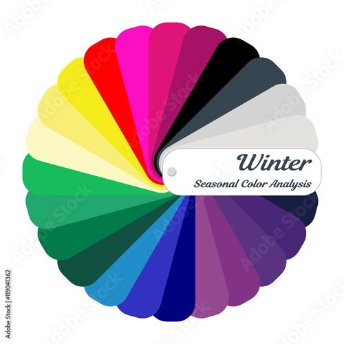 Stock vector color guide. Seasonal color analysis palette for winter type. Type of female appearance
