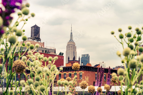 Cityscape view on midtown Manhattan from High Line Park