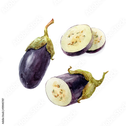 Watercolor hand drawn eggplant