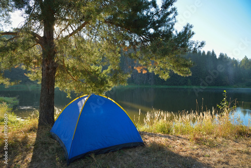 Tourist tent loacated under a pine-tree in summer morning