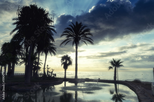 Palm trees, clouds and sunset at the beach