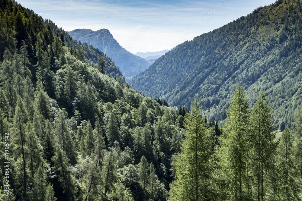 Large wooded valley the Italian Alps