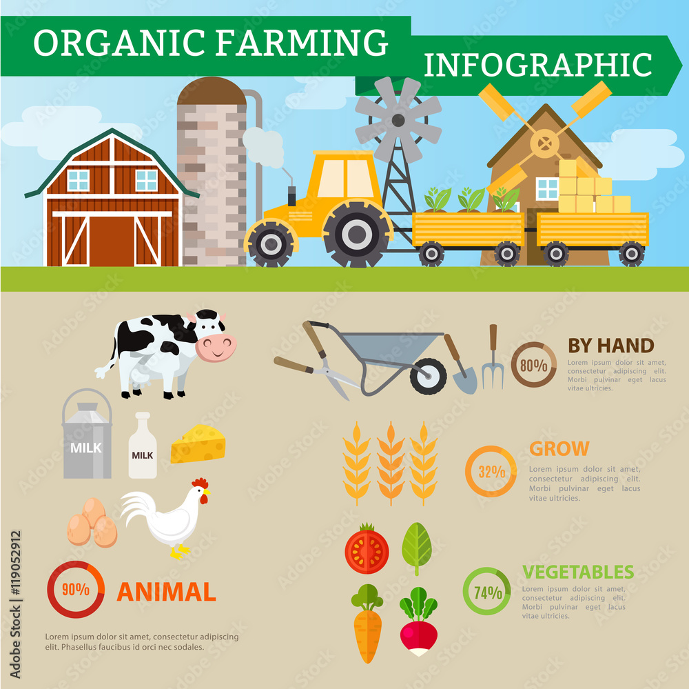 Organic farming and industrial food,Vegetables,fruits,mik,egg and rice product infographic. Vector illustration cartoon concept.