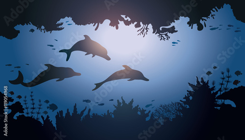 Dolphins and underwater cave.
