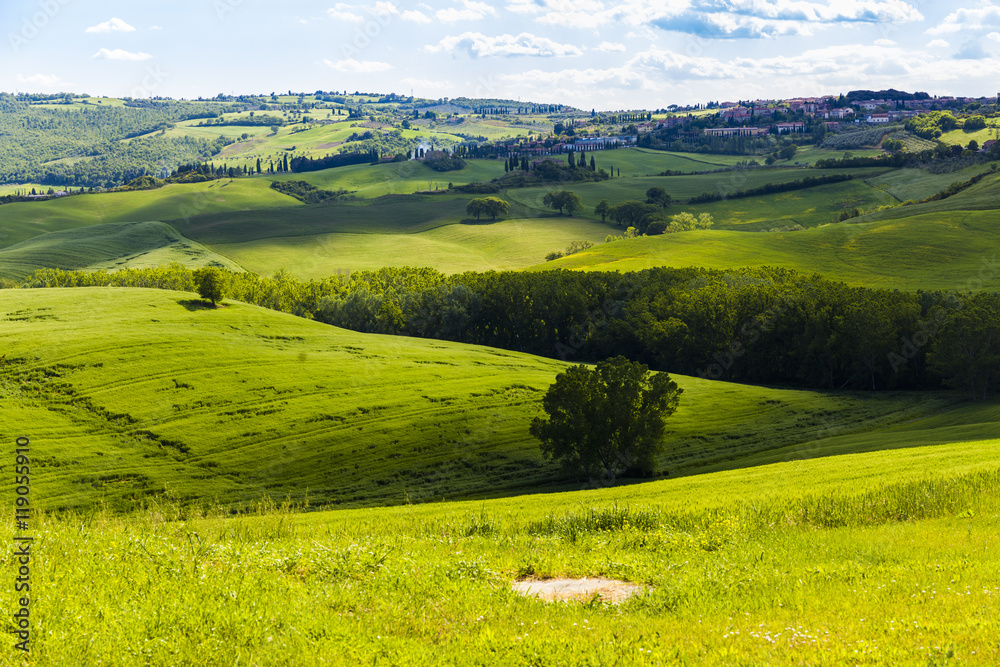 Italy Landscape, Scenic view of typical Tuscany country, Italy