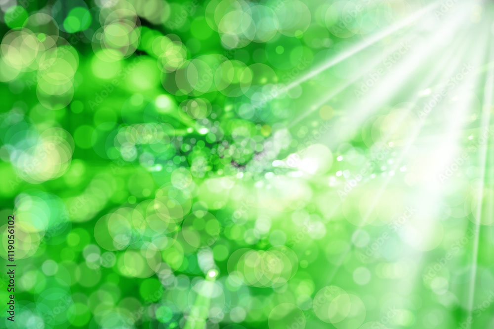 Fototapeta premium abstract light