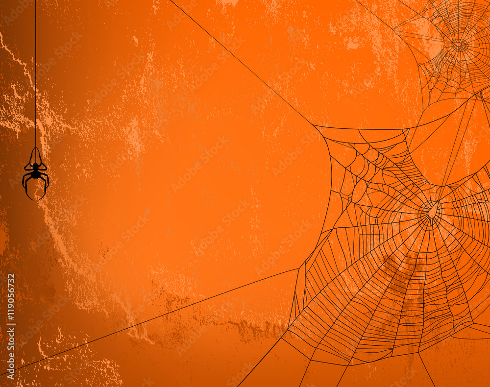 Fototapeta premium spider web halloween background