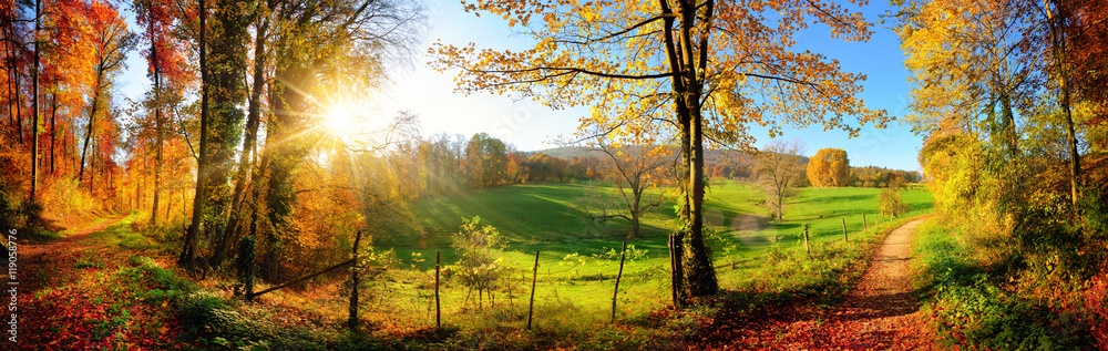 Fototapeta Magiczny krajobraz jesienią: słoneczna panorama wiejskiej idylli