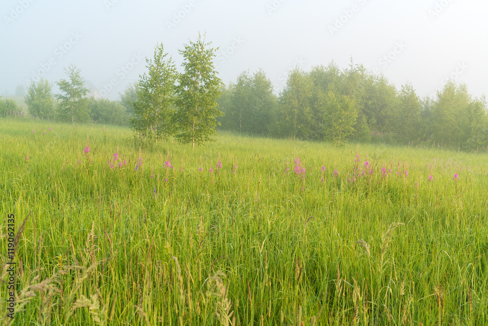 Beautiful nature landscape with foggy meadow Beautiful nature landscape with foggy meadow