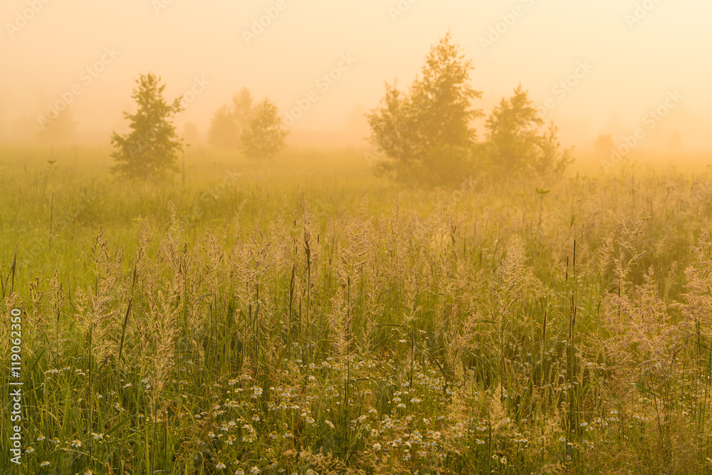 Golden sunshine above countryside field at morning